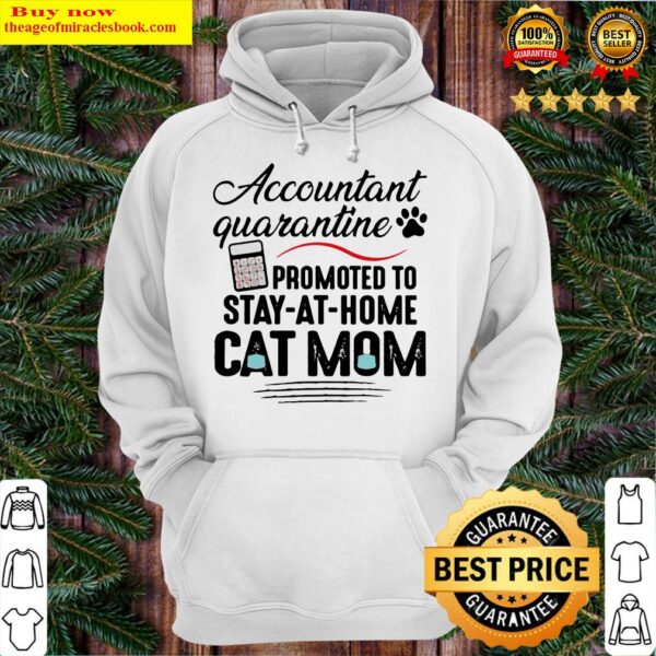 Accountant quarantine promoted to stay-at-home cat mom Hoodie