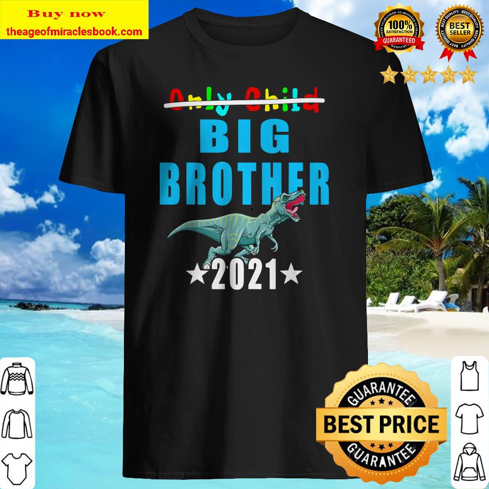 Big Brother 2021 Son Birth Sibling Baby Pregnant Dinosaur Shirt