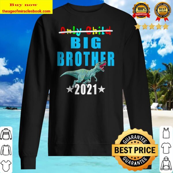 Big Brother 2021 Son Birth Sibling Baby Pregnant Dinosaur Sweater