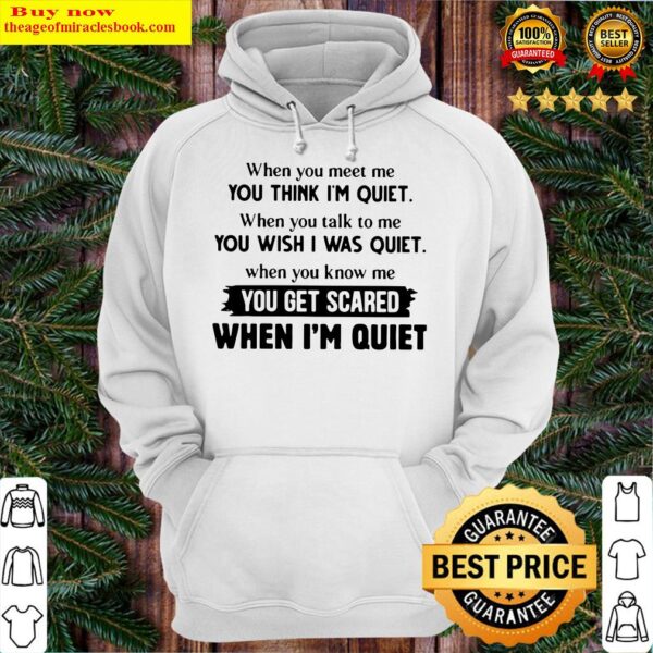 When You Meet Me You Think I’m Quiet When You Talk To Me You Wish I Was Quiet Hoodie