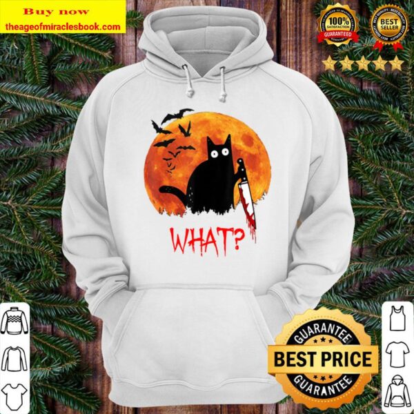 Cat What Funny Black Cat Murderous Cat With Knife Hoodie