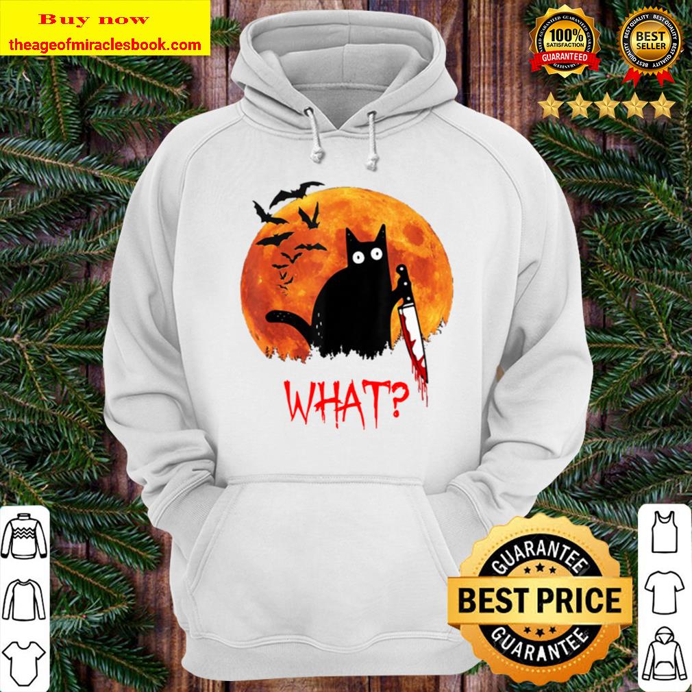 Cat What Funny Black Cat Murderous Cat With Knife Hoodie