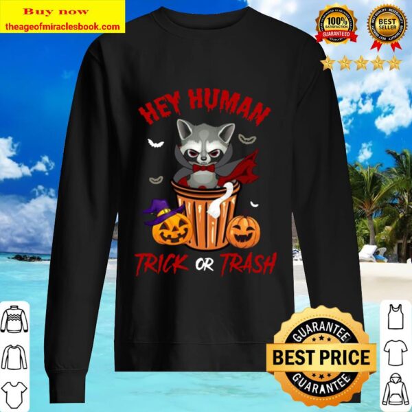 Hey Human Trick Or Trash Racoon Funny Trash Panda Candy Pumpkin Hallow Sweater