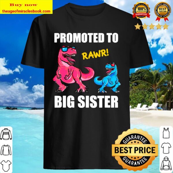 Promoted To Big Sister 2021 Outfit Dinosaur Women Girl Shirt