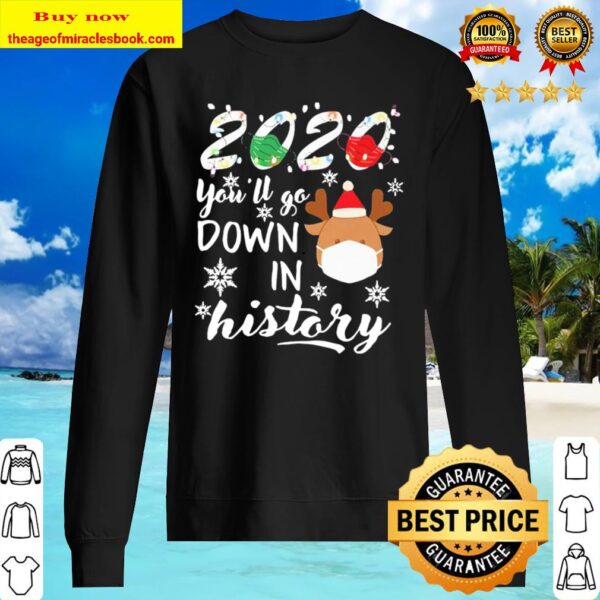 2020 you’ll go down in history christmas Sweater