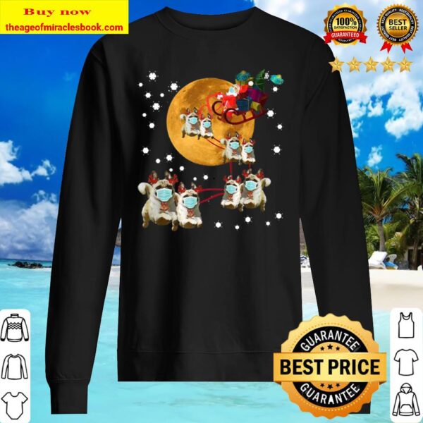 Christmas Reindeer Pug Dog Sleigh Funny Christmas Gift Sweater