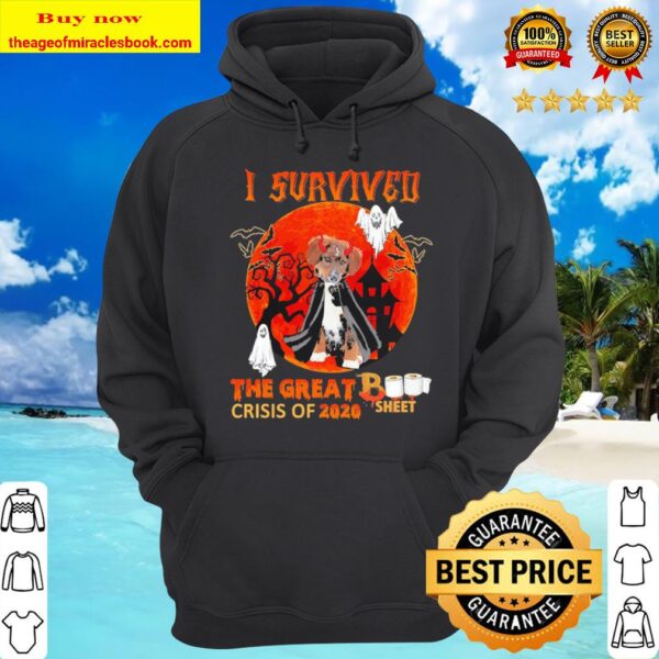 English Shepherd I survived The great Book Sheet crisis of 2020 Hallow Hoodie