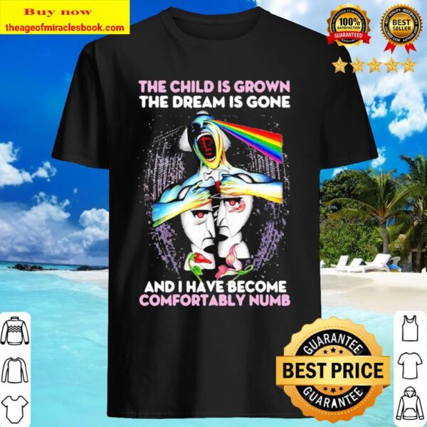 Pink floyd the child is grown the dream is gone and i have become comf Shirt