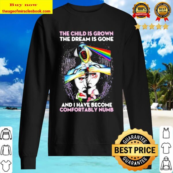 Pink floyd the child is grown the dream is gone and i have become comf Sweater