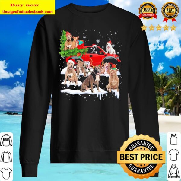 Pitbulls Dog Santa Merry Christmas Sweater
