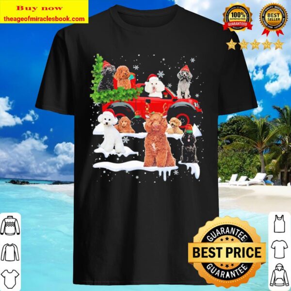Poodles Dog Santa Merry Christmas Shirt