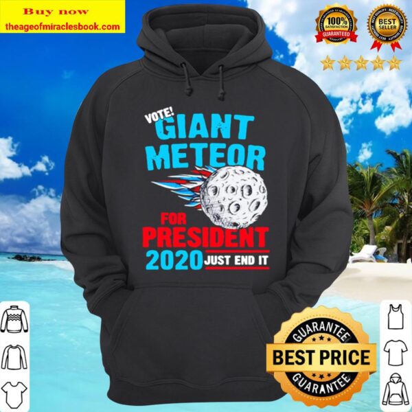 just end it Vote Giant Meteor for president 2020 Hoodie