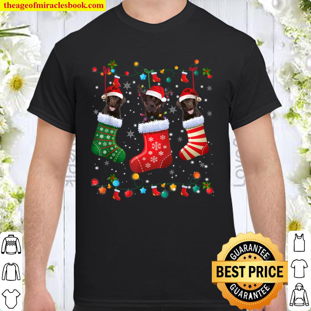 Chocolate Lab Labrador Christmas Socks Funny Xmas Pajama Shirt, Hoodie, Long Sleeved, SweatShirt