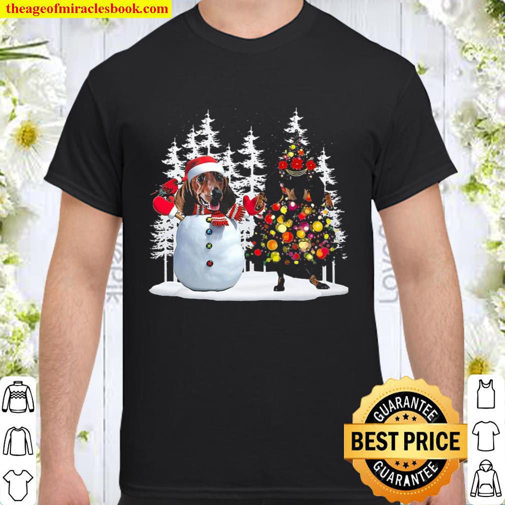 Dachshund Snowman Christmas Shirt, Hoodie, Long Sleeved, SweatShirt