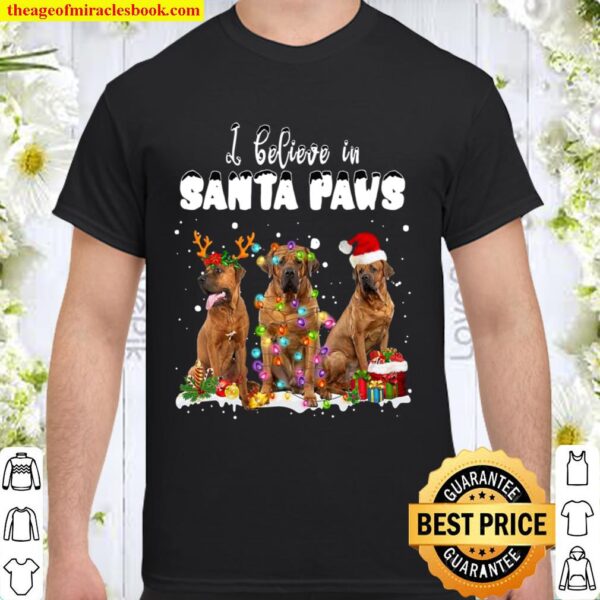 I believe in Santa Paws Christmas Basset Hounds Shirt