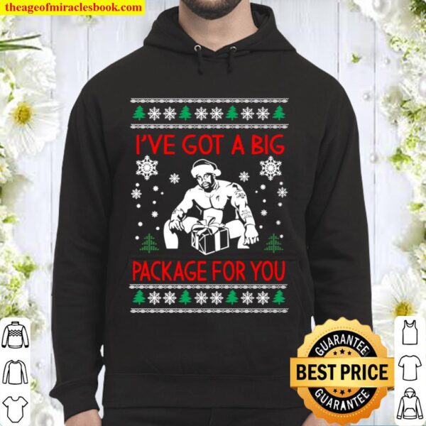 I_ve Got A Big Package For You Funny Ugly Christmas Hoodie