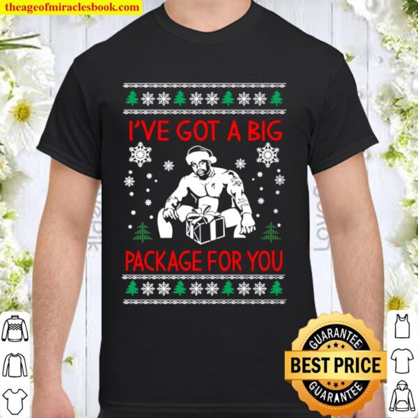I_ve Got A Big Package For You Funny Ugly Christmas Shirt