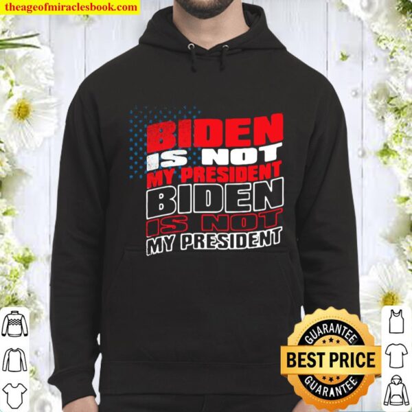 Vintage biden is not my president joe won election 2020 Hoodie