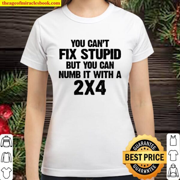 You Can_t Fix Stupid But You Can Numb 2x4 Classic Women T-Shirt