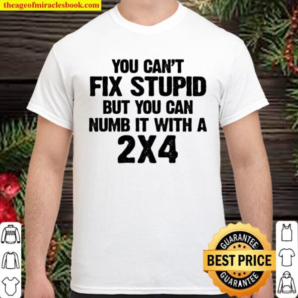 You Can_t Fix Stupid But You Can Numb 2x4 Shirt