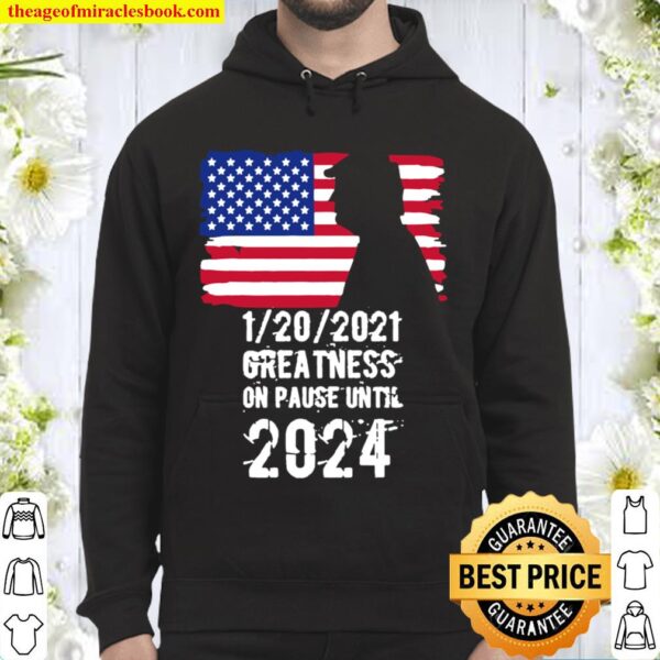 01202021 Greatness On Pause Until 2024 Pro Donald Trump USA Flag Hoodie