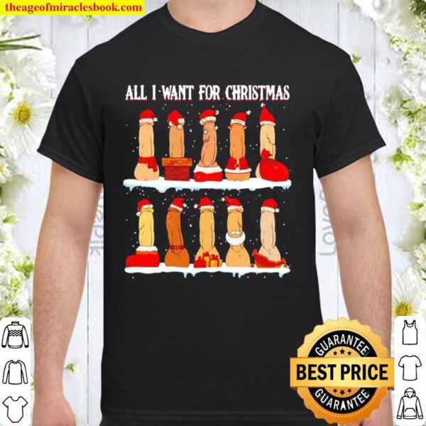 Adult humor naughty all I want for Christmas Shirt