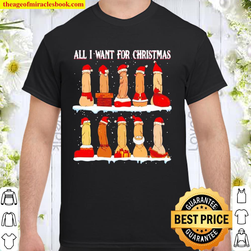 Adult humor naughty all I want for Christmas 2020 Shirt, Hoodie, Long Sleeved, SweatShirt