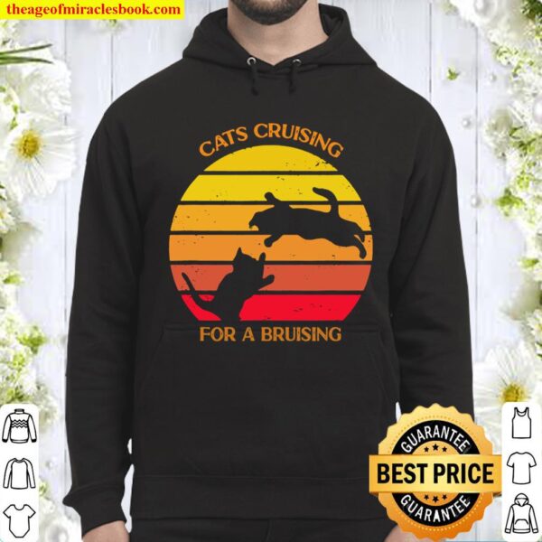 Cats Cruising For A Bruising, Funny Gift Hoodie
