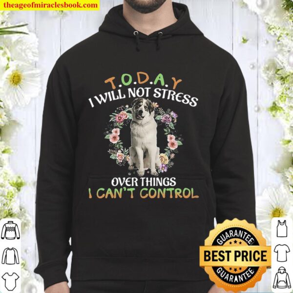 Great Pyrenees Today I Will Not Stress Over Things I Can_t Control Hoodie