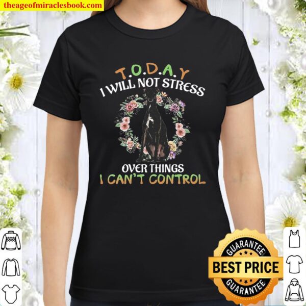 Greyhound Today I Will Not Stress Over Things I Can_t Control Classic Women T-Shirt