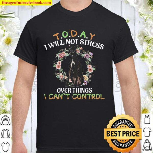 Greyhound Today I Will Not Stress Over Things I Can_t Control Shirt