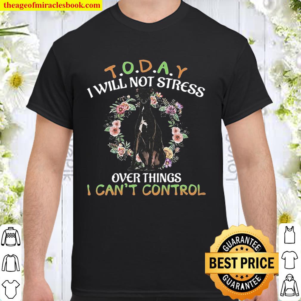 Greyhound Today I Will Not Stress Over Things I Can’t Control 2020 Shirt, Hoodie, Long Sleeved, SweatShirt