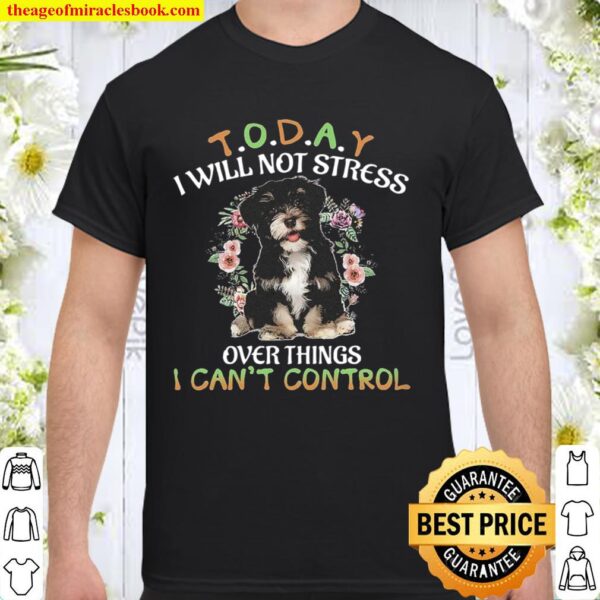 Havanese Today I Will Not Stress Over Things I Can_t Control Shirt
