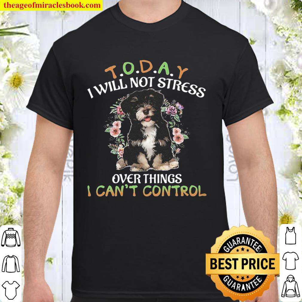 Havanese Today I Will Not Stress Over Things I Can’t Control hot Shirt, Hoodie, Long Sleeved, SweatShirt