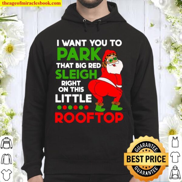 I Want You To Park That Big Red Sleigh Right On This Little Rooftop Ch Hoodie