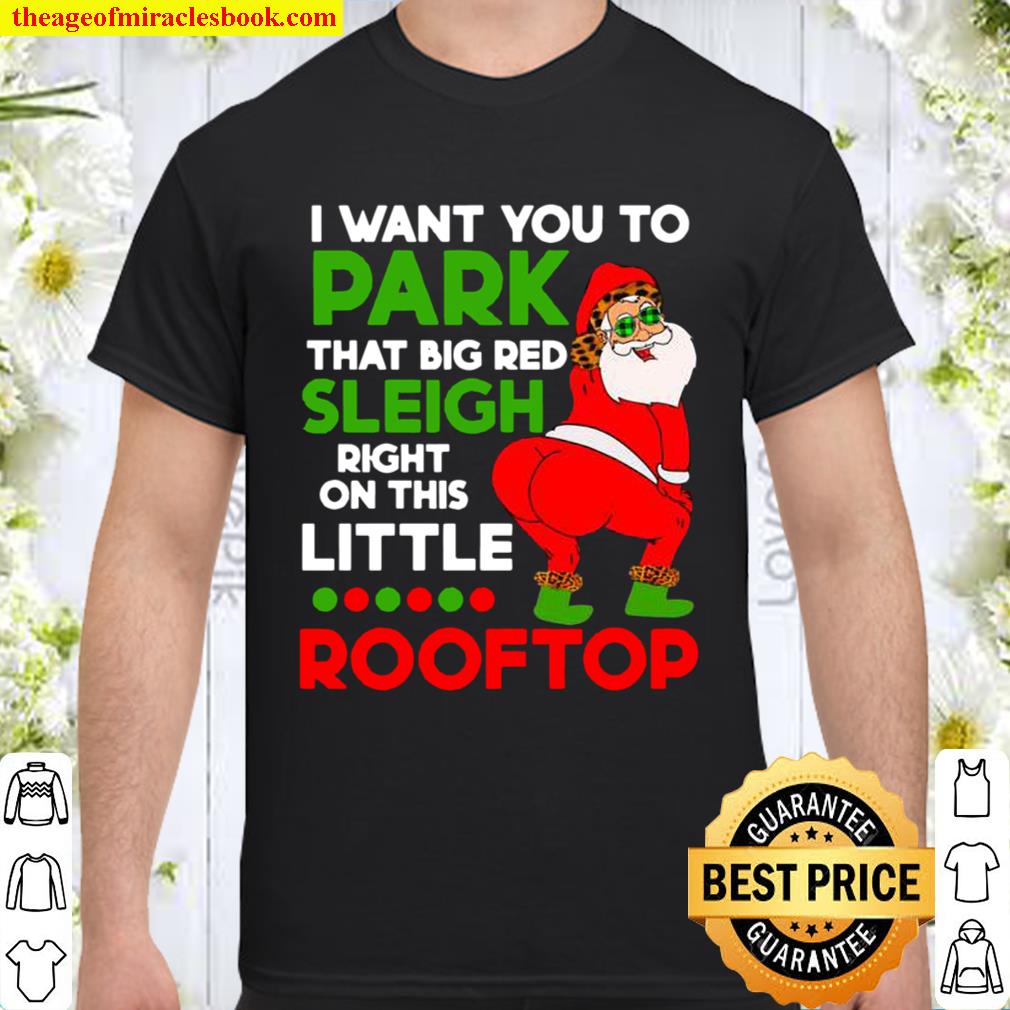 I Want You To Park That Big Red Sleigh Right On This Little Rooftop Ch Shirt