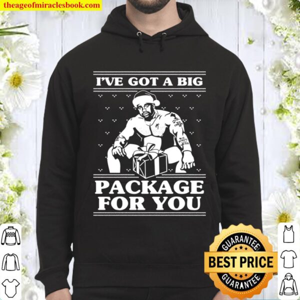 Ive Got a BIG PACKAGE For You - funny christmas drinking rude humor pa Hoodie