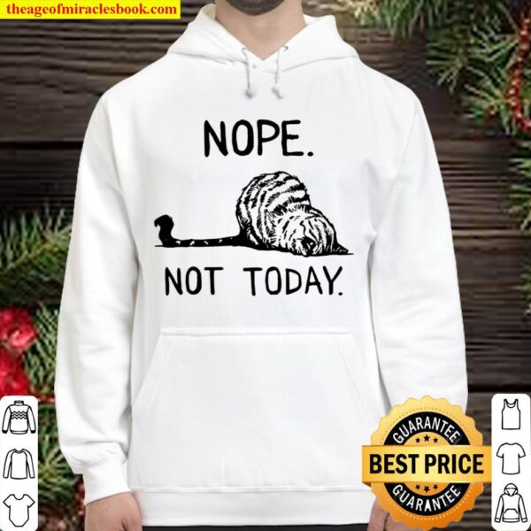 Lazy Cat Nope Not Today Funny Hoodie