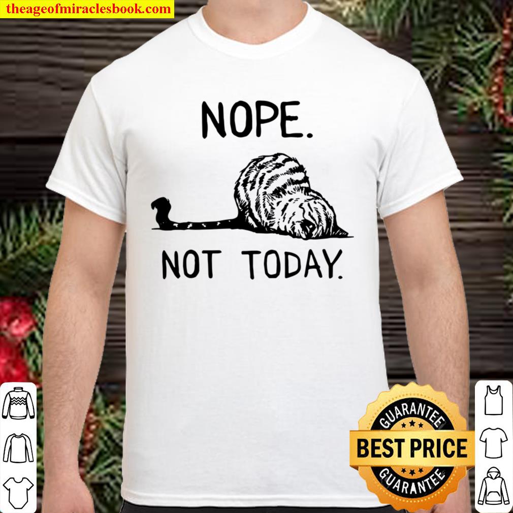 Lazy Cat Nope Not Today Funny limited Shirt, Hoodie, Long Sleeved, SweatShirt