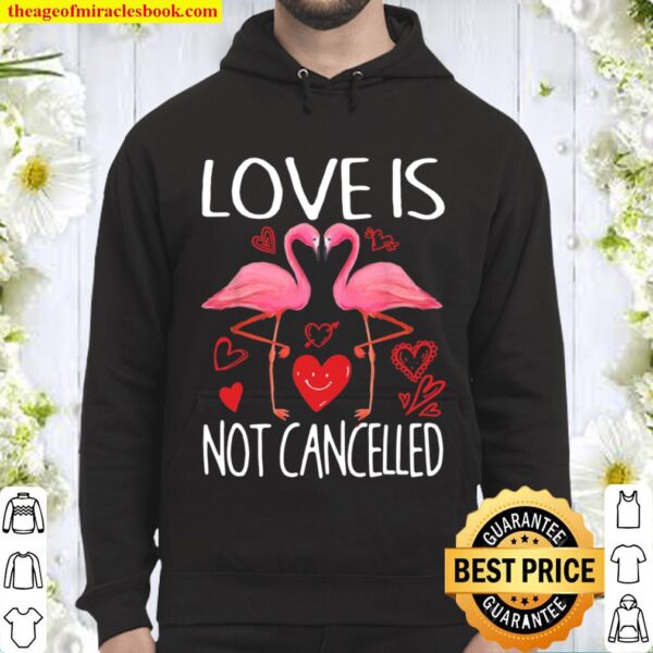 Love Is Not Cancelled Flamingoss Hoodie