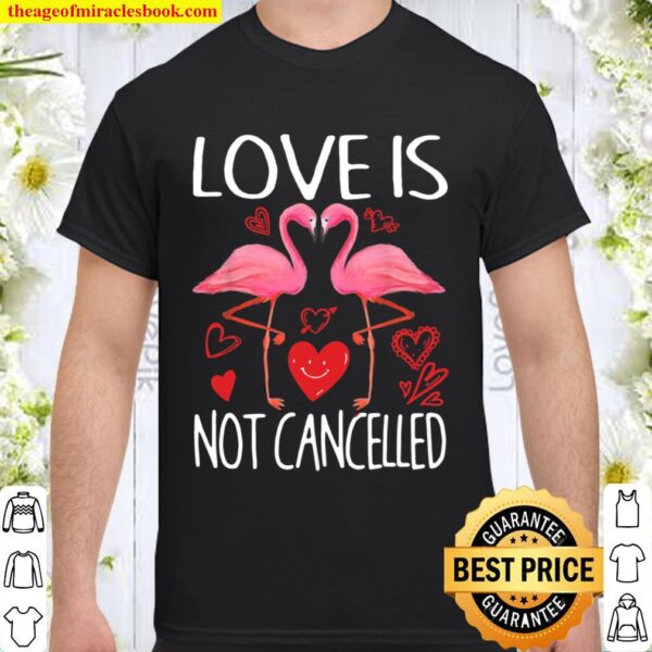 Love Is Not Cancelled Flamingoss Shirt