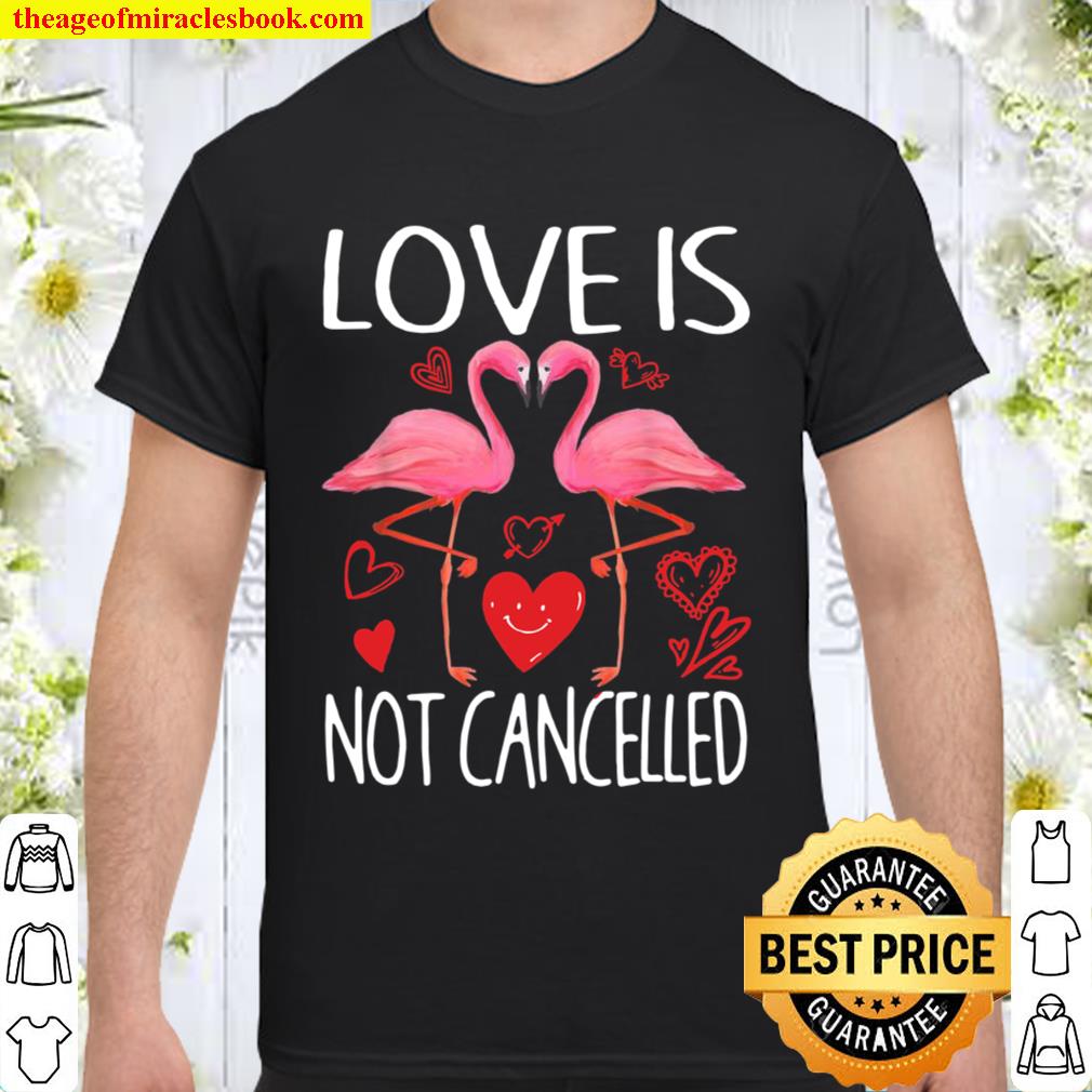 Love Is Not Cancelled Flamingoss 2020 Shirt, Hoodie, Long Sleeved, SweatShirt