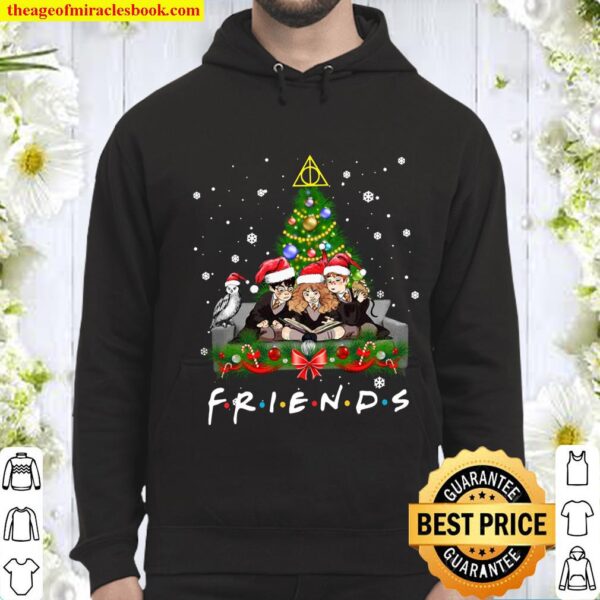 Merry Christmas Hoodie,Friends Christmas Sweatshirt,Christmas Chibi Fr Hoodie