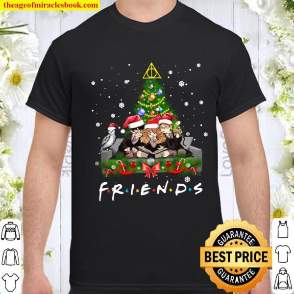 Merry Christmas Hoodie,Friends Christmas Sweatshirt,Christmas Chibi Fr Shirt