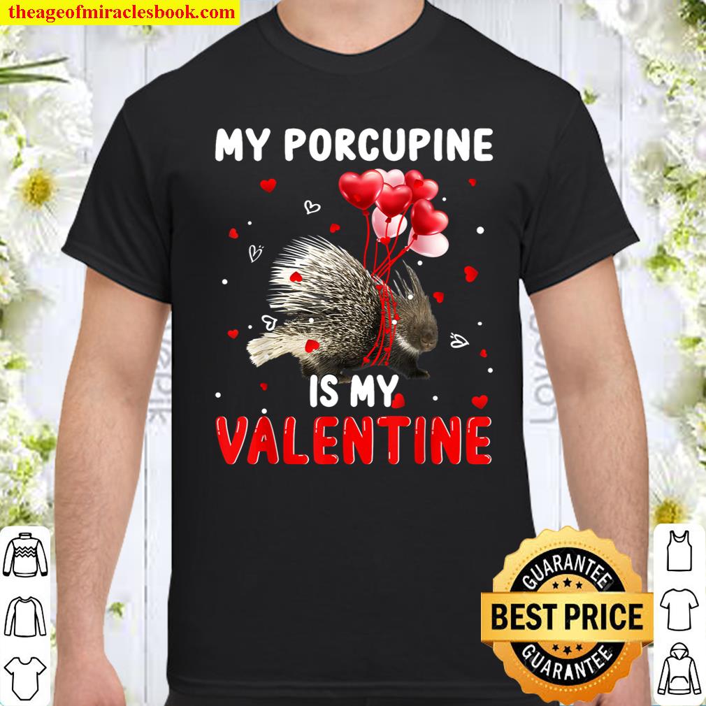 My Porcupine Is My Valentine Apparel Animals Lover Gifts Shirt