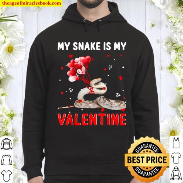 My Snake Is My Valentine Apparel Animals Lover Gifts Hoodie