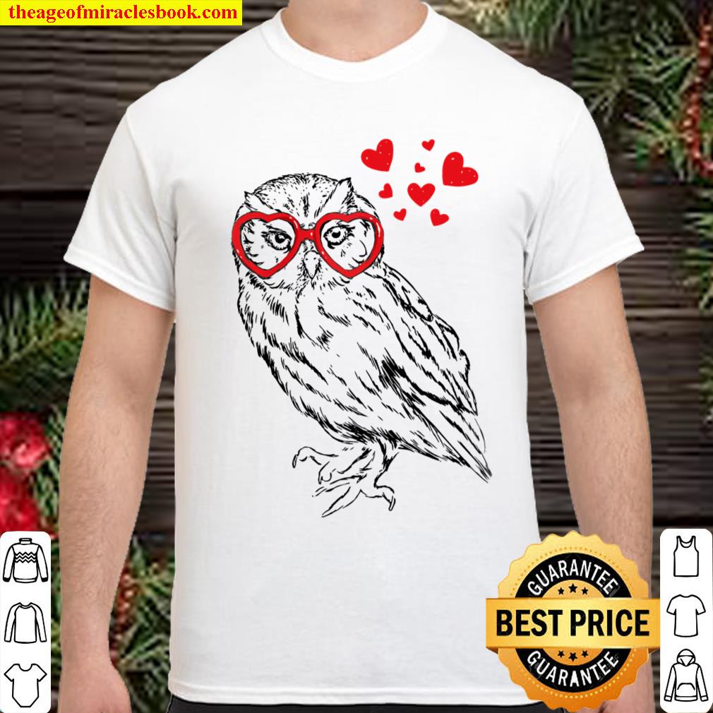 Owl Sunglasses Love Funny Cute Owls Valentine Gift Heart Raglan Baseba Shirt