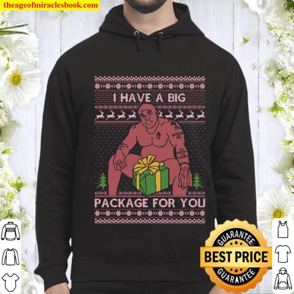 Ugly Christmas Sweater - Barry Wood Big Package Meme Joke - Funny Cute Hoodie