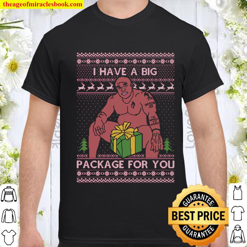 Ugly Christmas Sweater – Barry Wood Big Package Meme Joke – Funny Cute Holiday Outfit Family Shirt
