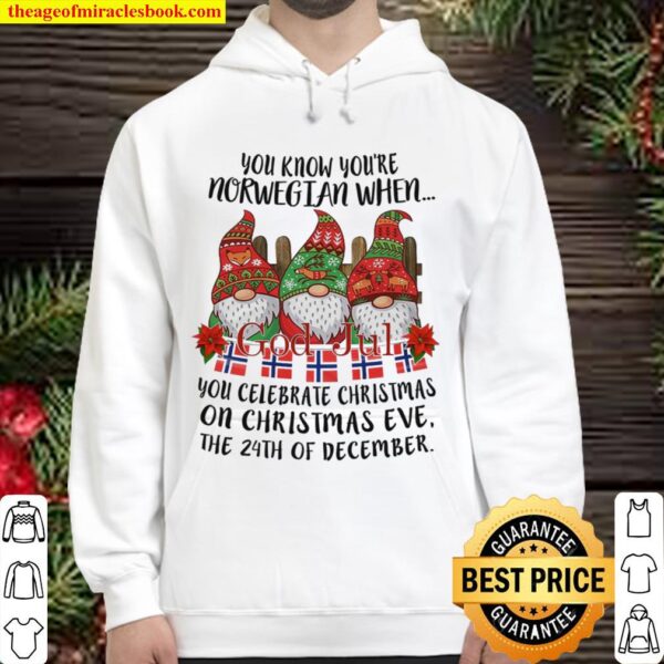 You Know You’re Norwegian When Santa Claus Merry Christmas Gift For Wo Hoodie